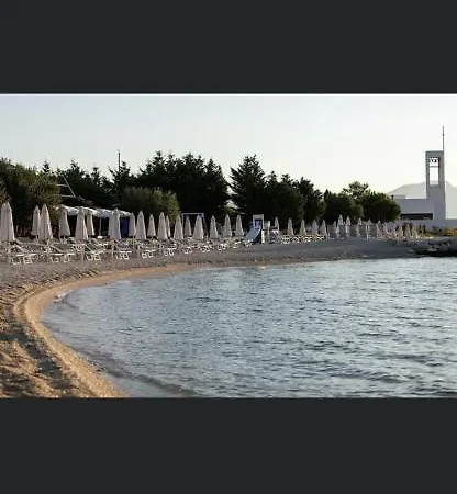 Good Vibes * Trogir